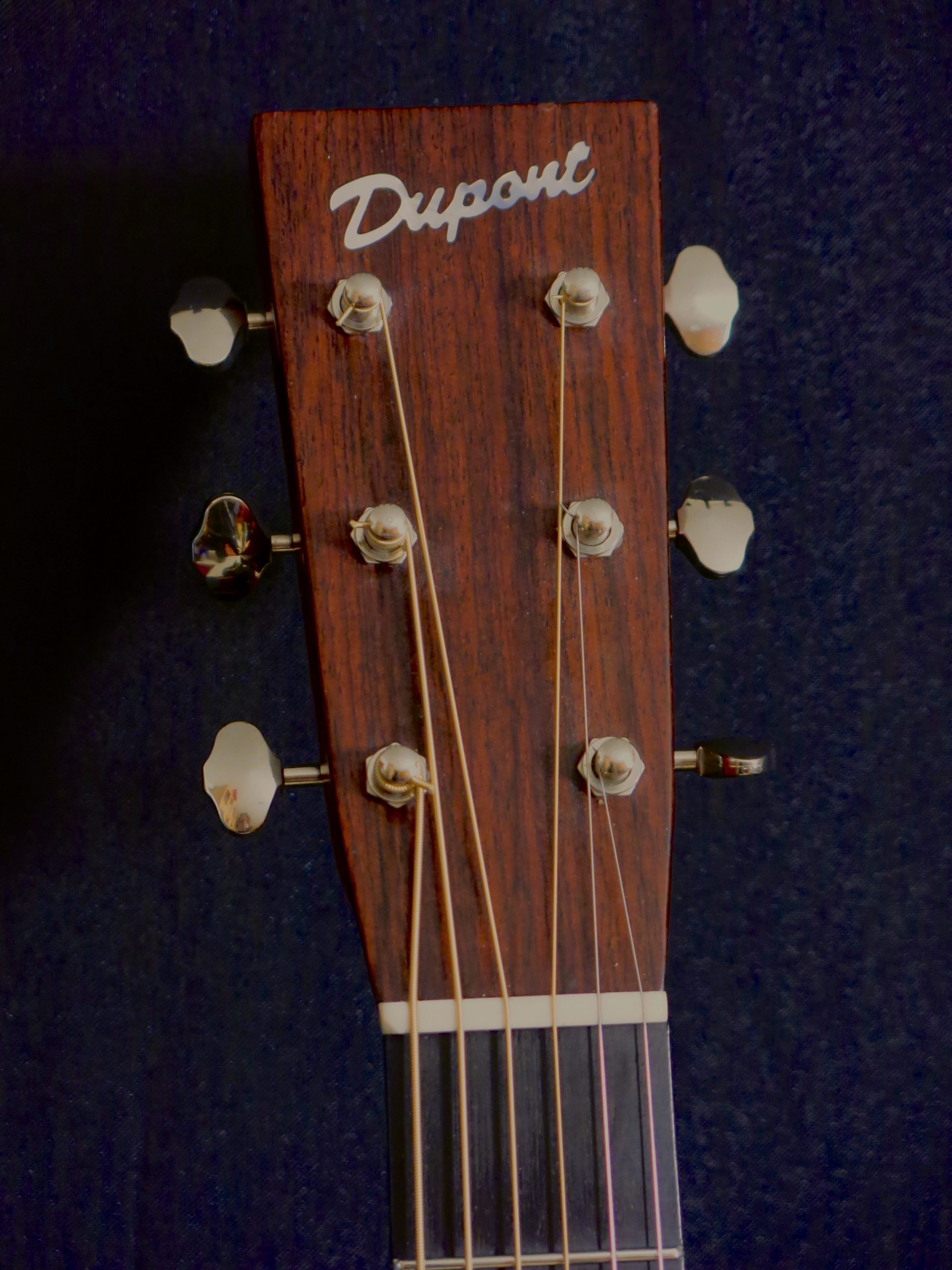 Guitare Dupont AU28